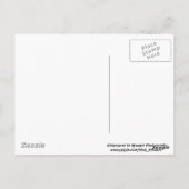 Three Baby Chipmunks Postkarte (Rückseite)