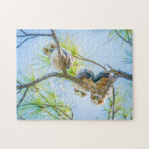 Three Baby Great Horned Owls Wildlife Fotografie Puzzle