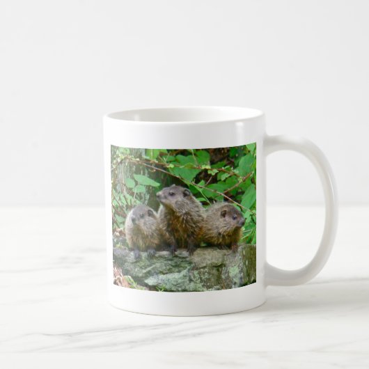 Three Baby Groundhogs Kaffeetasse (Rechts)
