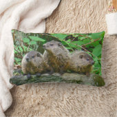 Three Baby Groundhogs Lendenkissen (Decke)