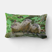 Three Baby Groundhogs Lendenkissen (Rückseite)