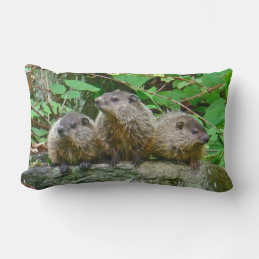 Three Baby Groundhogs Lendenkissen (Vorderseite)