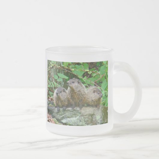 Three Baby Groundhogs Mattglastasse (Rechts)