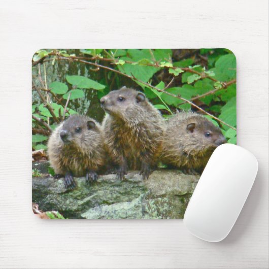 Three Baby Groundhogs Mousepad (Mit Mouse)