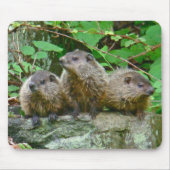 Three Baby Groundhogs Mousepad (Vorne)