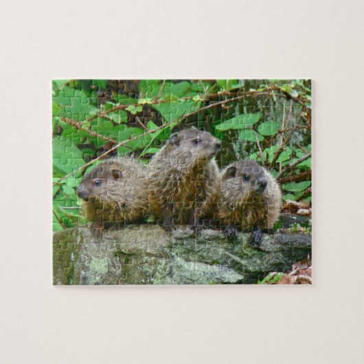 Three Baby Groundhogs Puzzle (Horizontal)