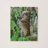 Three Baby Groundhogs Puzzle (Vertikal)