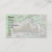 Three Baby Groundhogs Visitenkarte (Vorderseite)