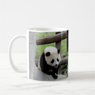 Three Baby Pandas Kaffeetasse
