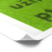 Three Birds in Tree - Matchbox Print - Czech Wall Poster (Ecke)