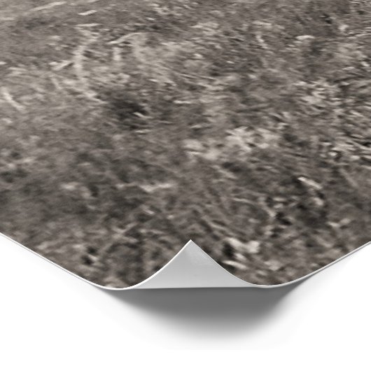 Three Blackfoot Chiefs Poster (Ecke)