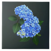 Three Blue Hydrangea Fliese (Vorderseite)