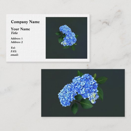 Three Blue Hydrangea Visitenkarte (Vorne/Hinten)