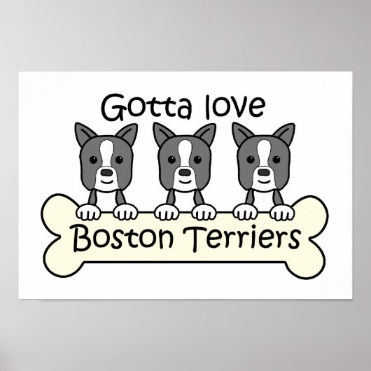 Three Boston Terriers Poster (Vorne)