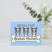 Three Boston Terriers Postkarte (Stehend Vorderseite)