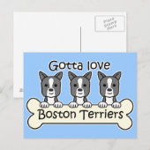 Three Boston Terriers Postkarte (Vorne/Hinten)