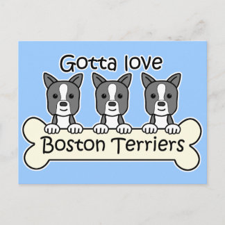 Three Boston Terriers Postkarte