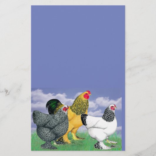 Three Brahmas Briefpapier (Vorderseite)