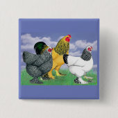Three Brahmas Button (Vorderseite)