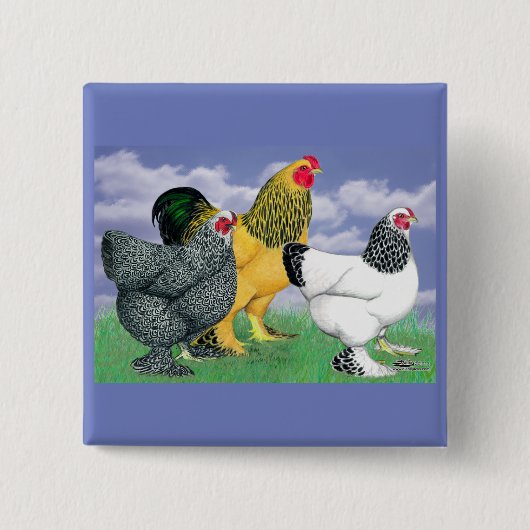 Three Brahmas Button (Vorderseite)