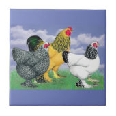 Three Brahmas Fliese (Vorderseite)