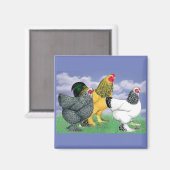 Three Brahmas Magnet (Vorderseite/Rückseite)