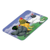 Three Brahmas Magnet (Linke Seite)