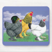 Three Brahmas Mousepad (Vorne)