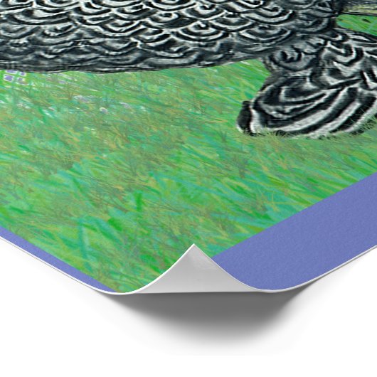 Three Brahmas Poster (Ecke)