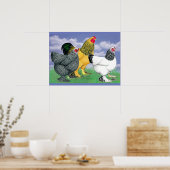 Three Brahmas Poster (Küche)