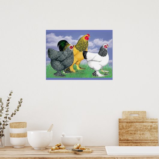 Three Brahmas Poster (Küche)