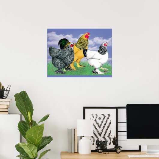 Three Brahmas Poster (Heimbüro)