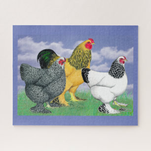 Three Brahmas Puzzle