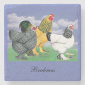 Three Brahmas Steinuntersetzer (Vorderseite)
