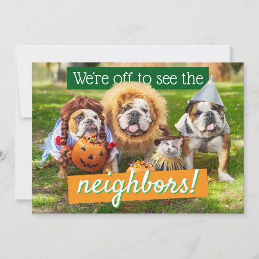 Three Bulldogs in Costumes Einladung (Vorderseite)