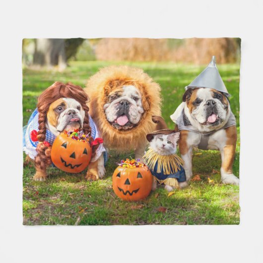 Three Bulldogs in Costumes Fleecedecke (Vorderseite (Horizontal))