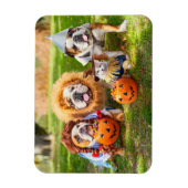 Three Bulldogs in Costumes Magnet (Vertikal)
