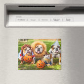 Three Bulldogs in Costumes Magnet (In Situ (Geschirrspüler))