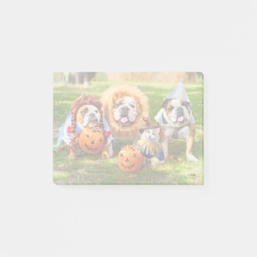 Three Bulldogs in Costumes Post-it Klebezettel (Vorderseite)