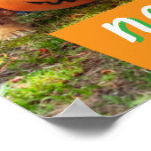 Three Bulldogs in Costumes Poster (Ecke)