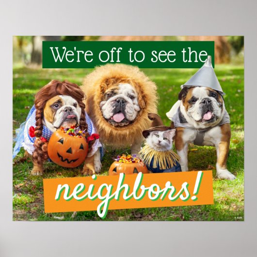 Three Bulldogs in Costumes Poster (Vorne)