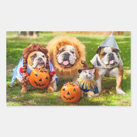 Three Bulldogs in Costumes Rechteckiger Aufkleber (Vorderseite)