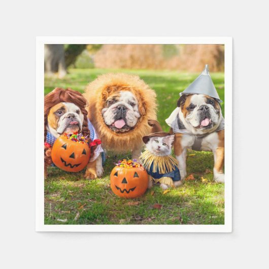 Three Bulldogs in Costumes Serviette (Vorderseite)