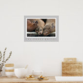Three California Sea Lions - Three Amigos Poster (Küche)