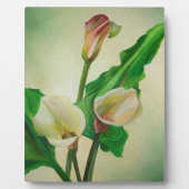 Three Calla Lilies Atemberaubend Botanical Acrylic Fotoplatte (Vorderseite)