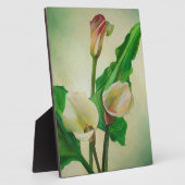 Three Calla Lilies Atemberaubend Botanical Acrylic Fotoplatte (Seite)