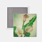 Three Calla Lilies Atemberaubend Botanical Acrylic Magnet (Vorderseite/Rückseite)
