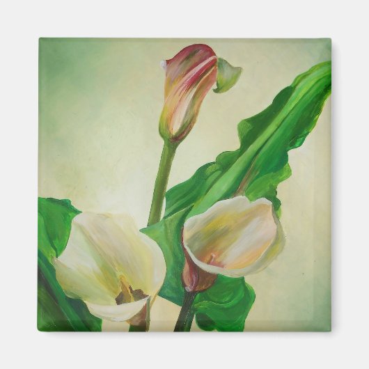 Three Calla Lilies Atemberaubend Botanical Acrylic Magnet (Vorne)