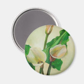 Three Calla Lilies Atemberaubend Botanical Acrylic Magnet (Vorderseite/Rückseite)