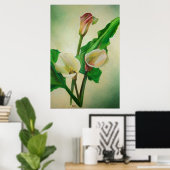 Three Calla Lilies Atemberaubend Botanical Acrylic Poster (Heimbüro)